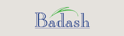 Badash Logo